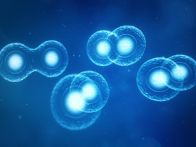 New therapy- Prostate Cancer Treatment from two months to a week, Here's the Theory