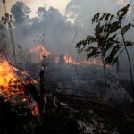 The Amazon fires a crime against humanity The Amazon fires a crime against humanity