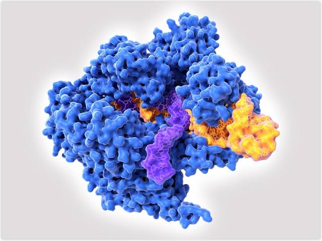 CRISPR could be replaced by SATI gene editing