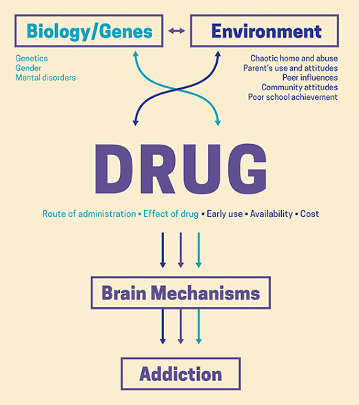 images Gene expression can be modified by Chronic cocaine use