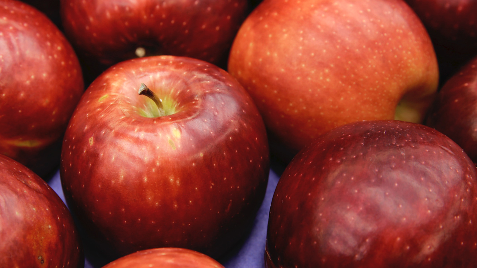 Cosmic 'Ultra-crisp, very juicy' apple variety to debut in stores in December