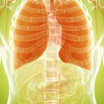Fat store in the lungs can cause an increased risk of asthma: Finds Study