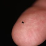 OmniVision Revealed Smallest Image Sensor and New Miniature Camera : Details inside OmniVision Revealed Smallest Image Sensor and New Miniature Camera : Details inside