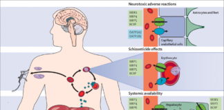 Drug's Molecular basis leave effects on a limb and ear development: Finds Study