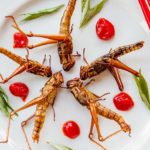 Snacks like Ants, crickets and cockroaches are healthy for body- Finds Study Snacks like Ants, crickets and cockroaches are healthy for body- Finds Study