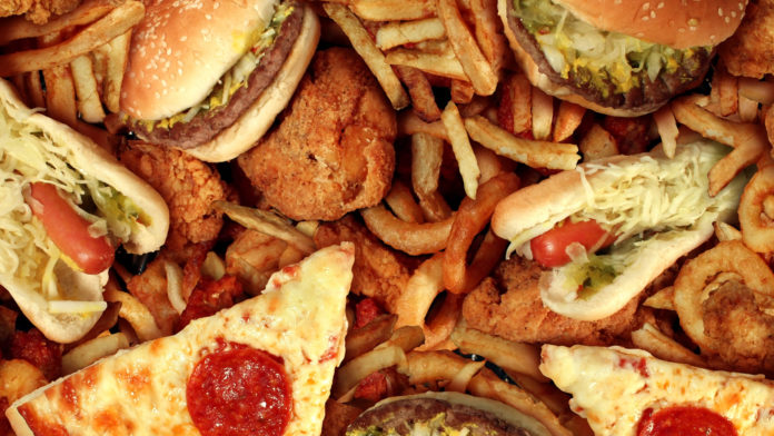 love calorie-dense food