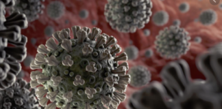 coronavirus signs photo