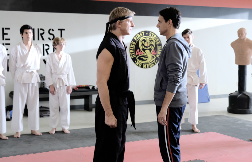 cobra kai season 1 and season 2 