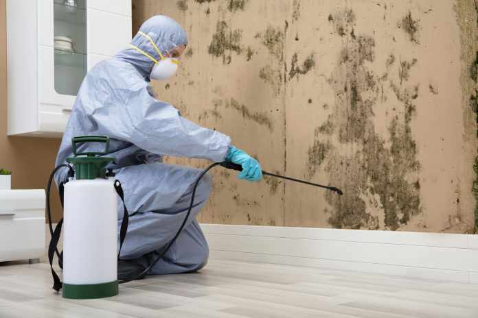 Hiring Professional Mold Remediation Services Hiring Professional Mold Remediation Services