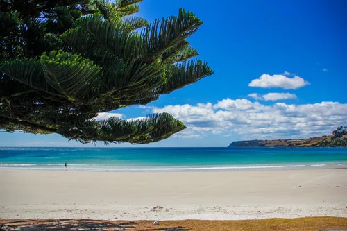 Tasmania