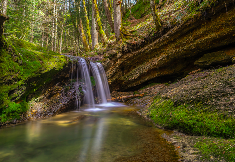 Nantahala National Forest