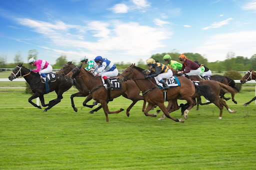 unnamed (63) learned from St Leger Stakes