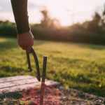 Stake & Farm