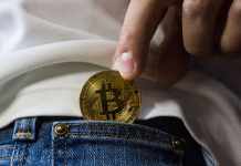 Ways to Increase Your Cryptocurrency Investment and Holdings Cryptocurrency