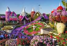 5 Splendid parks in Dubai parks in Dubai