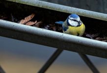 Choose The Best In Gutters, Gutter Installation For Your Home