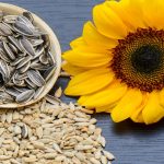 Sunflower lecithin: A formidable emulsifier