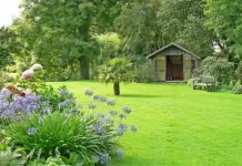 On Landscape: Benefits Of Adding Top Soil To Your Lawn And Garden Garden