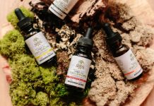 How To Incorporate CBD Into Your Daily Routine Daily Routine