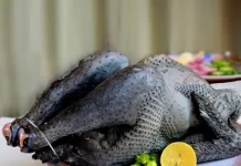 black chicken meat