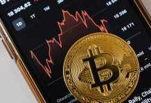 Staying One Step Ahead: Defending Against Bitcoin Investment Scams Bitcoin Investment