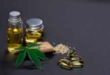 Full Spectrum CBD Oil: A Breakthrough in Dog Health Full Spectrum CBD Oil