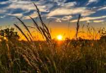 Agriculture Business Loans Explained