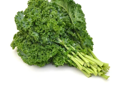 Super food supplements for weight loss