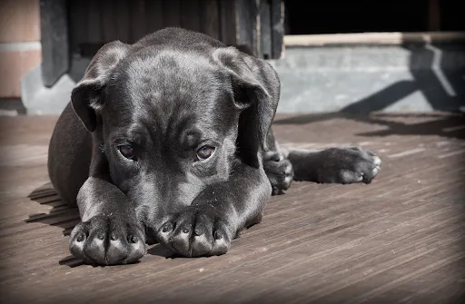 unnamed - 2023-12-01T130650.386